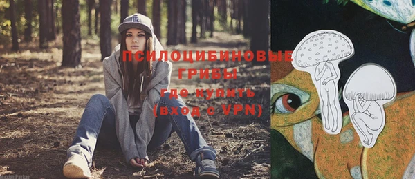 метадон Россошь