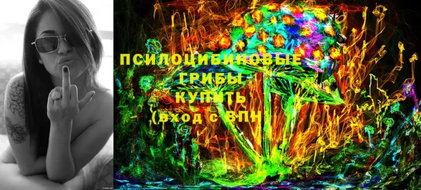 хмурый Сатка