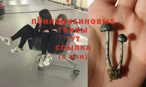хмурый Сатка