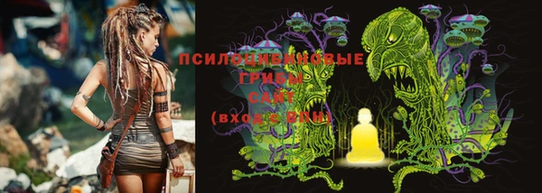 метадон Сафоново