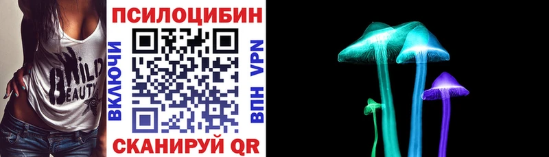 закладка  Саров  Псилоцибиновые грибы ЛСД 