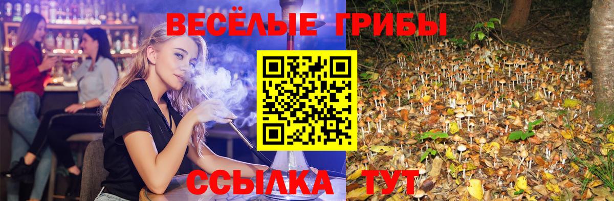 Саров  Галлюциногенные грибы Magic Shrooms  Вход с VPN 