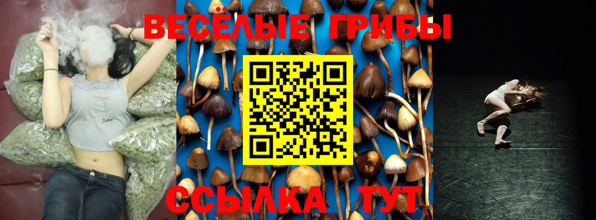 Галлюциногенные грибы Magic Shrooms Саров