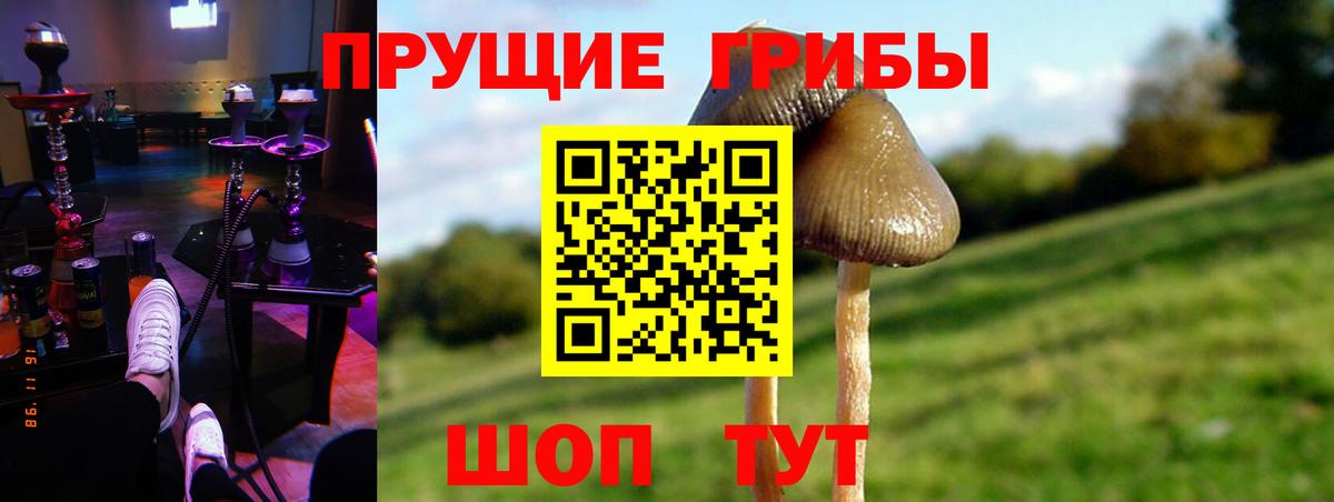 Псилоцибиновые грибы MAGIC MUSHROOMS Саров