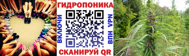 купить kraken вход Конопля сатива Саров